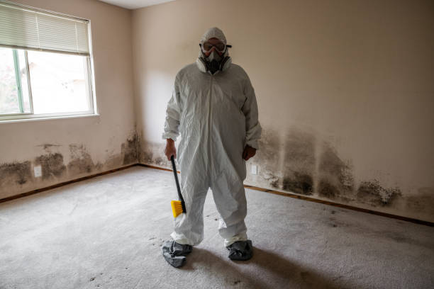 Best Basement Mold Removal  in Tarpey Village, CA